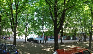 Xonanda Adelning porno video