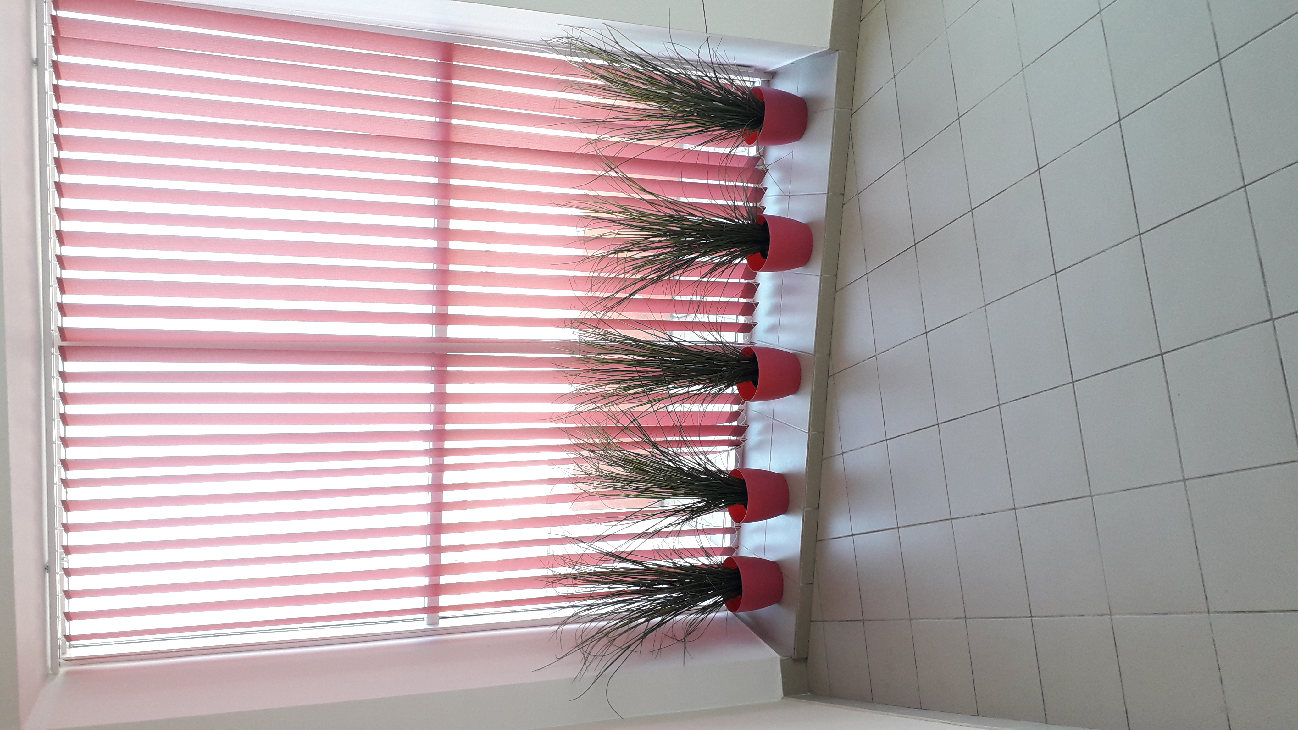 Фото Марисоль