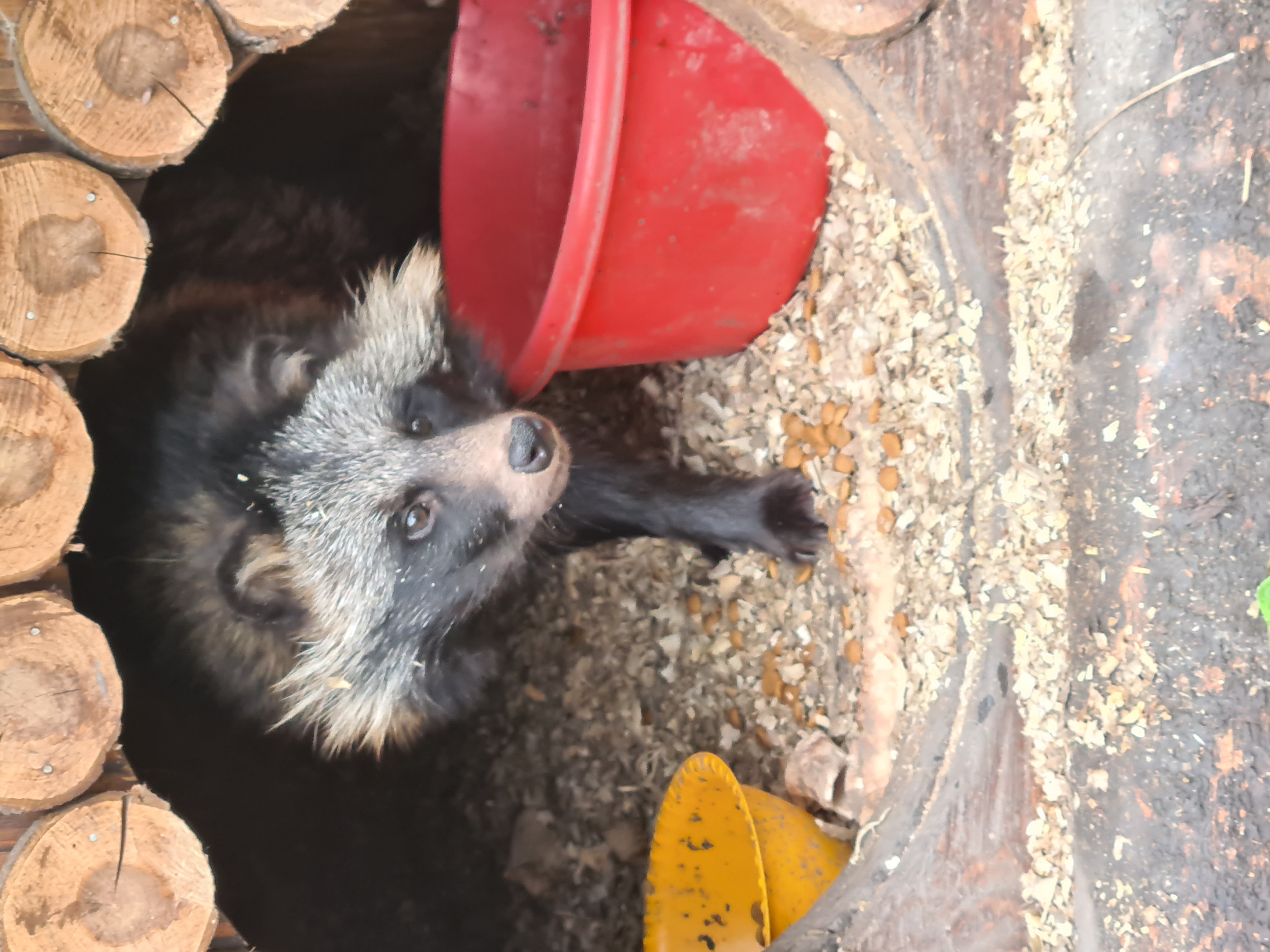 Фото Солнечная