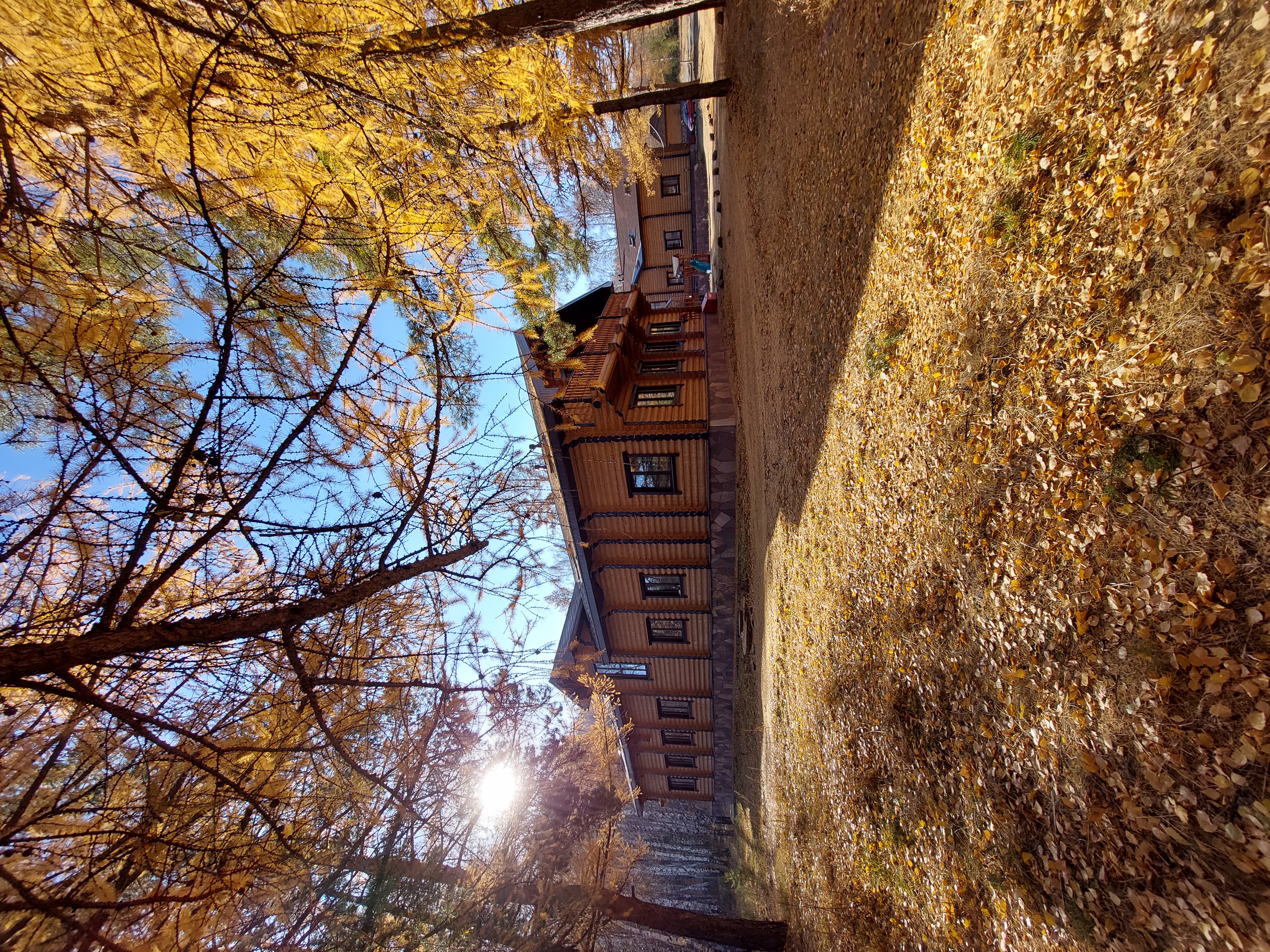 Фото Кизиловая