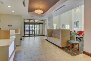 Гостиница Holiday Inn Express & Suites Tampa Usf Busch Gardens, an Ihg Hotel