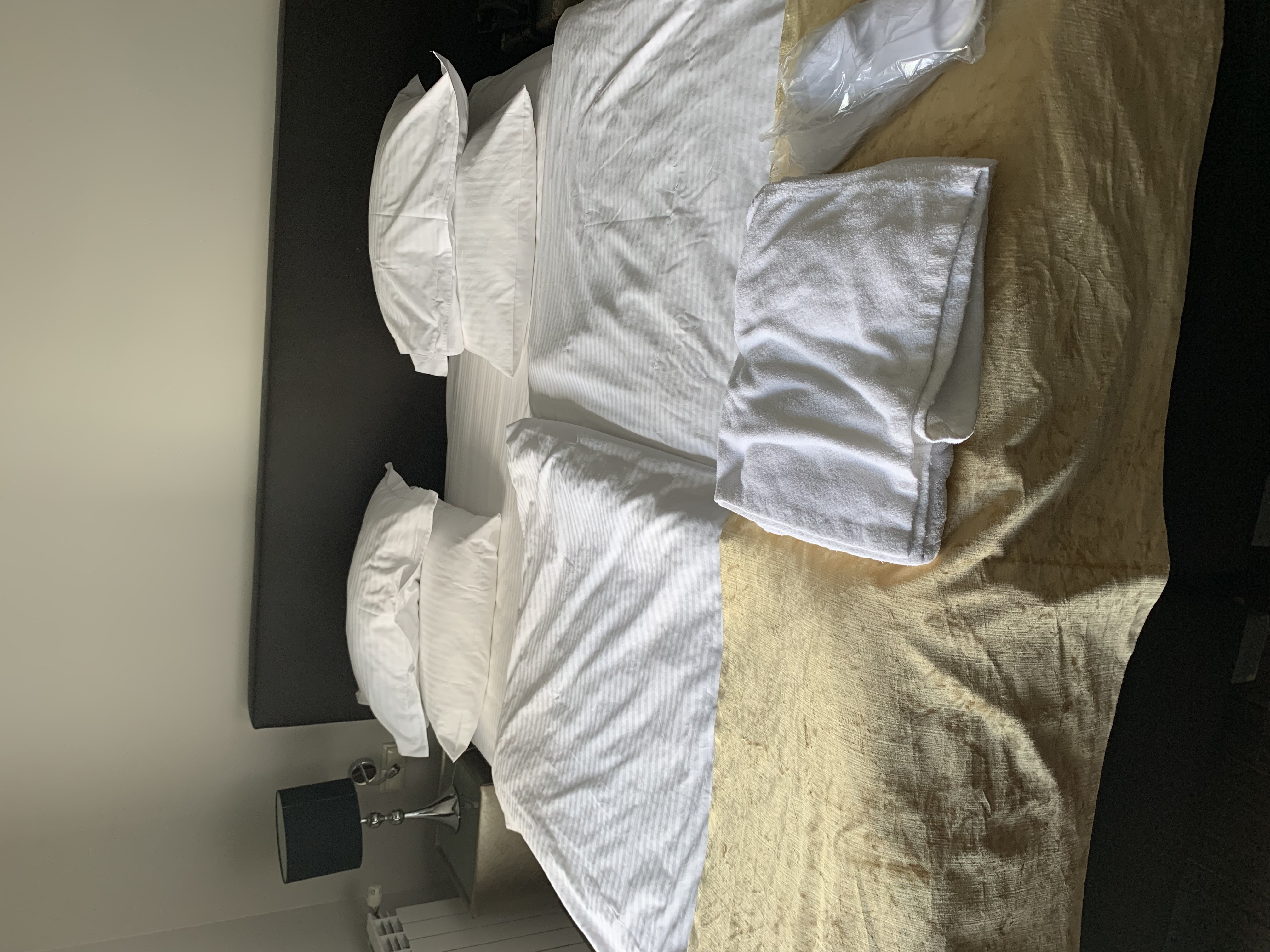 Фото Граф Орлов