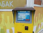 Payberry (Киевская улица, 70), payment terminal
