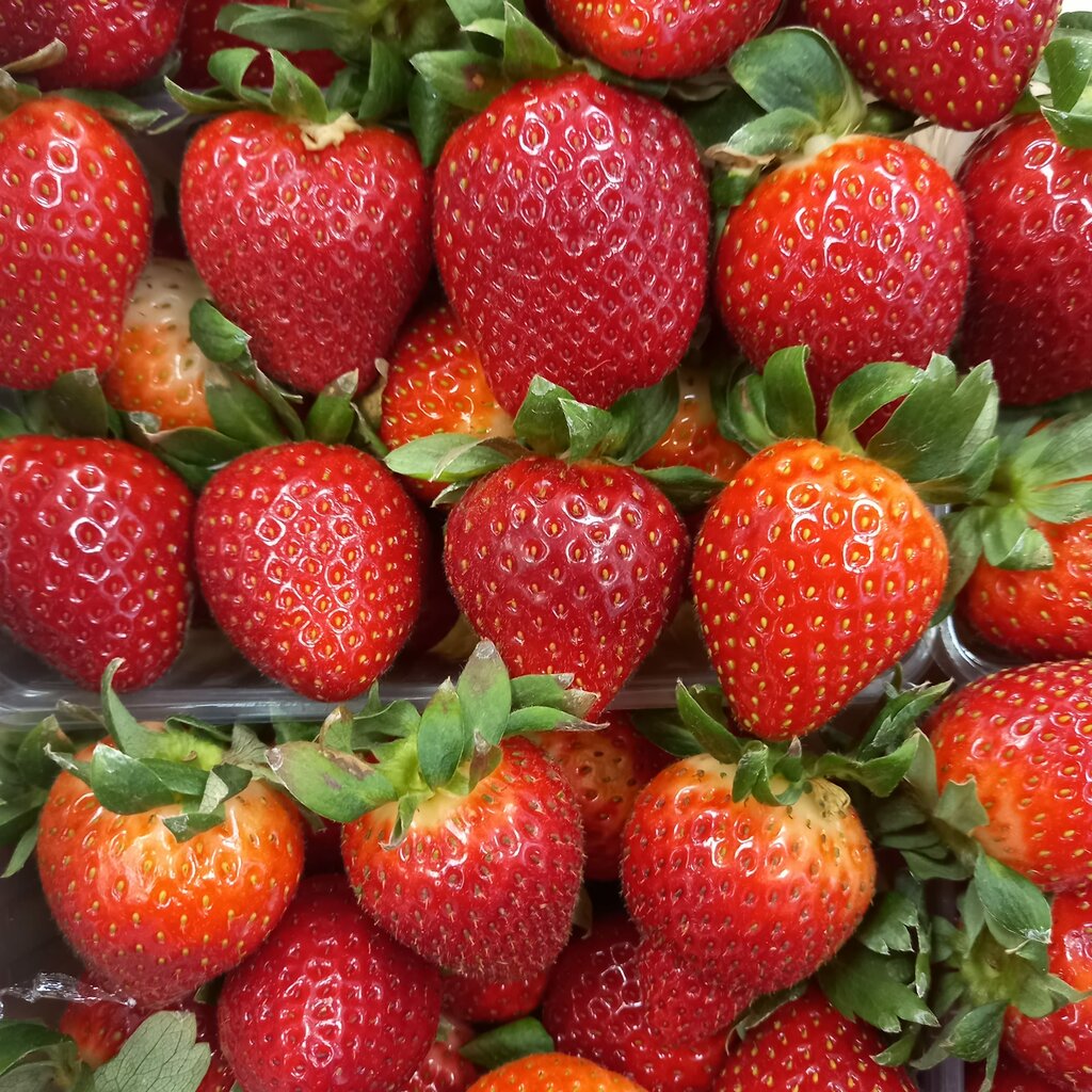 Greengrocery Фрукты и овощи, Kursk, photo