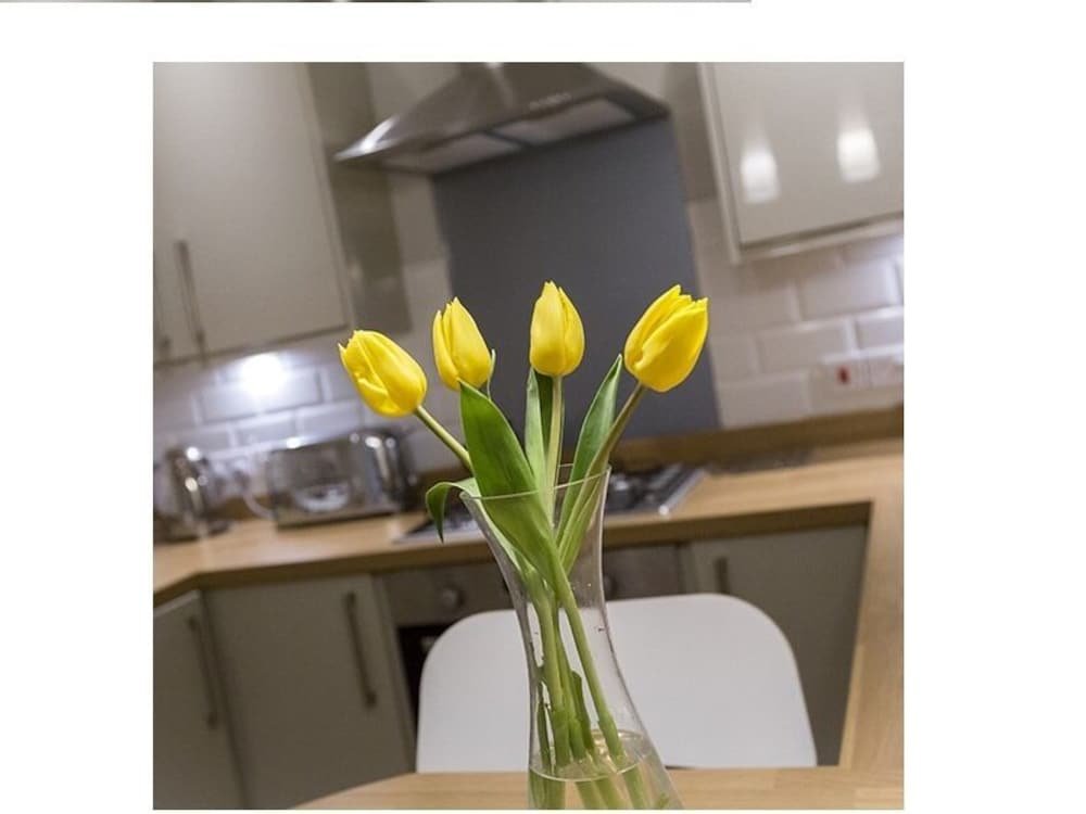 Фото The Lane Apartment