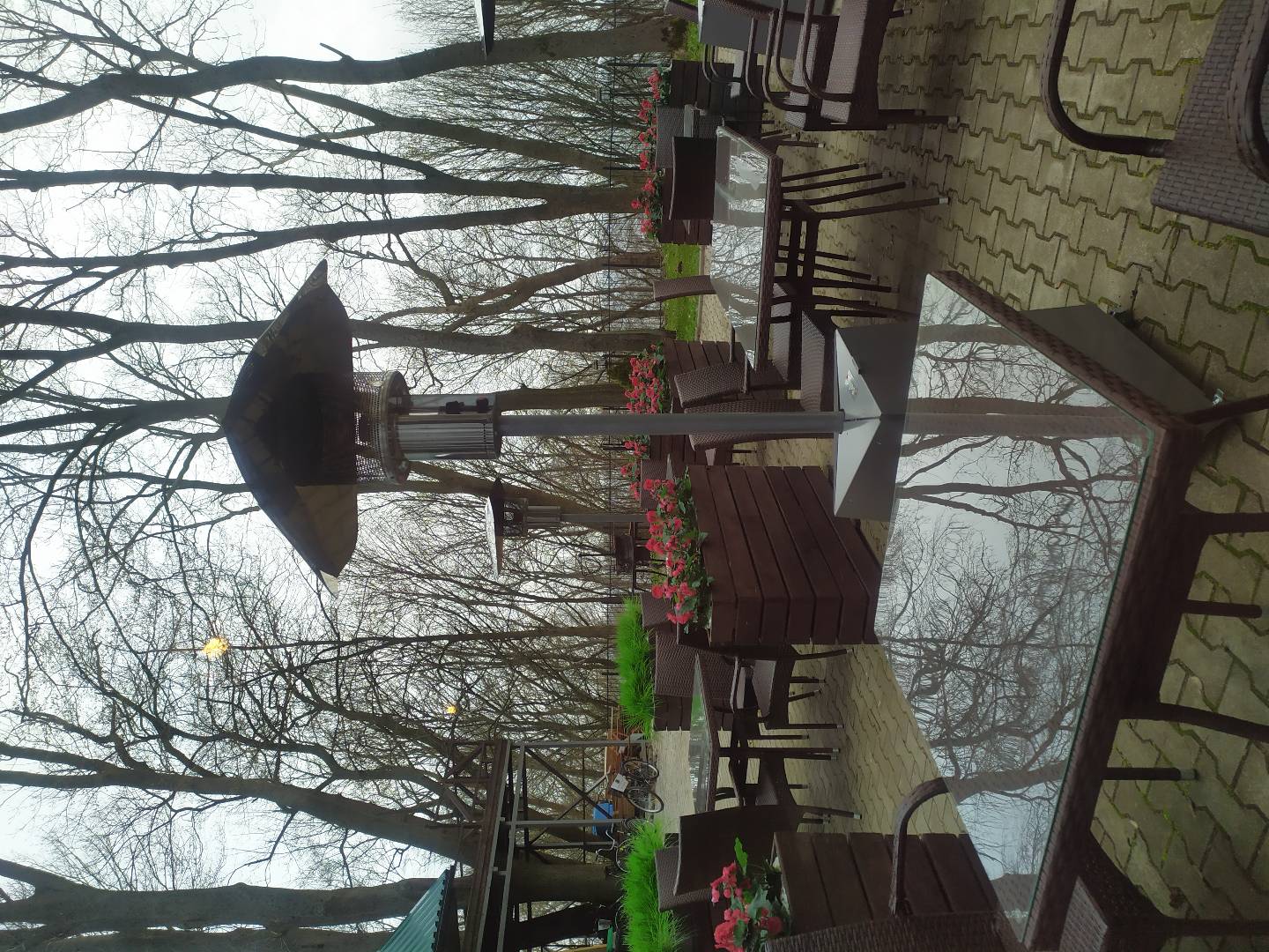 Фото Высокий берег