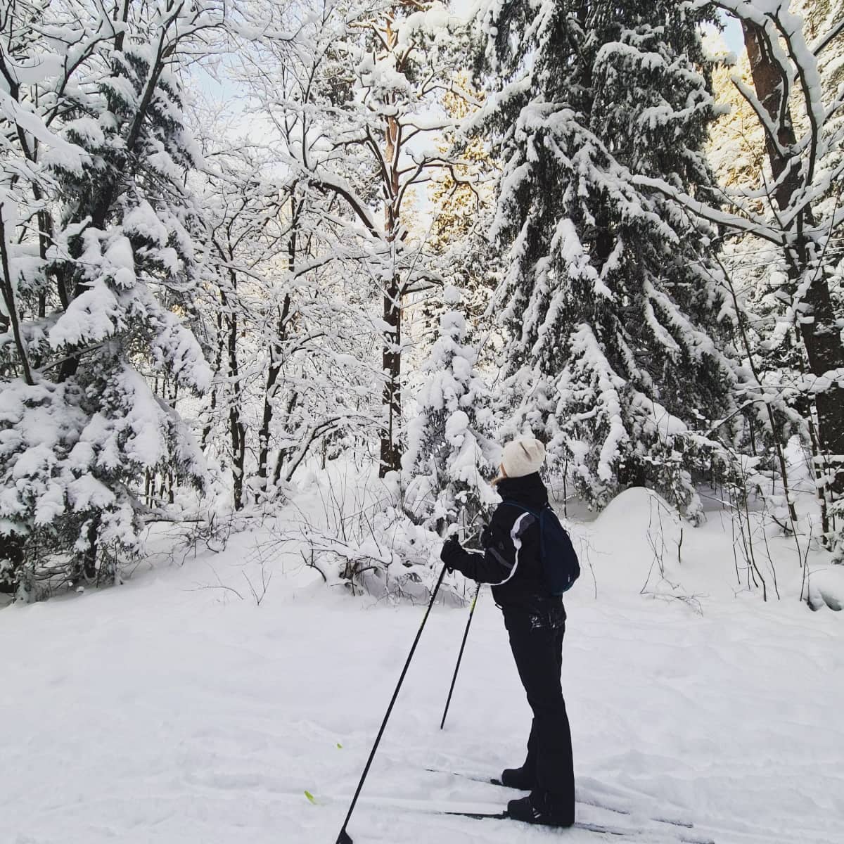 Фото Динамо