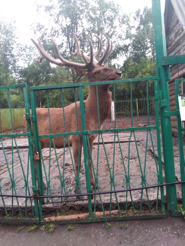 Зоопарк Большереченский государственный зоопарк имени В.Д. Соломатина, Омская область, фото