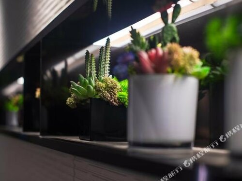 Гостиница GreenTree Inn Urumqi Airport Tianyi International City в Урумчи