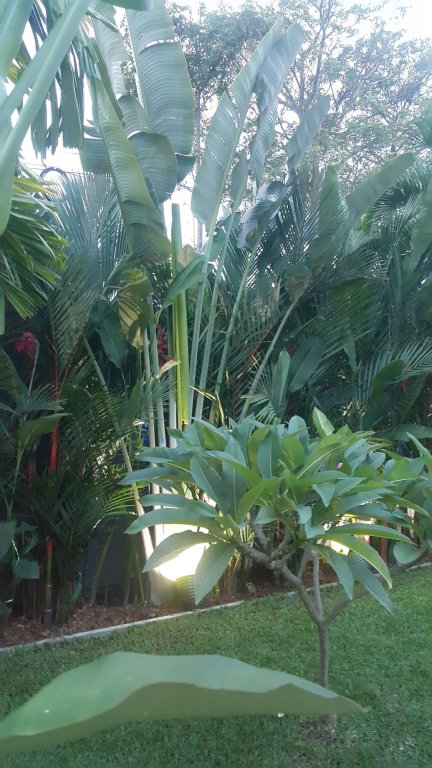 Фото Blue Dream Villa
