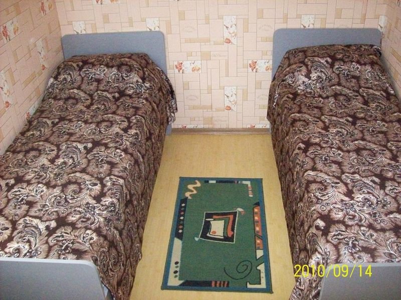 Фото Лебедь