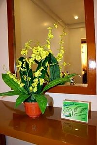 Гостиница Casa Belina Tourist Inn