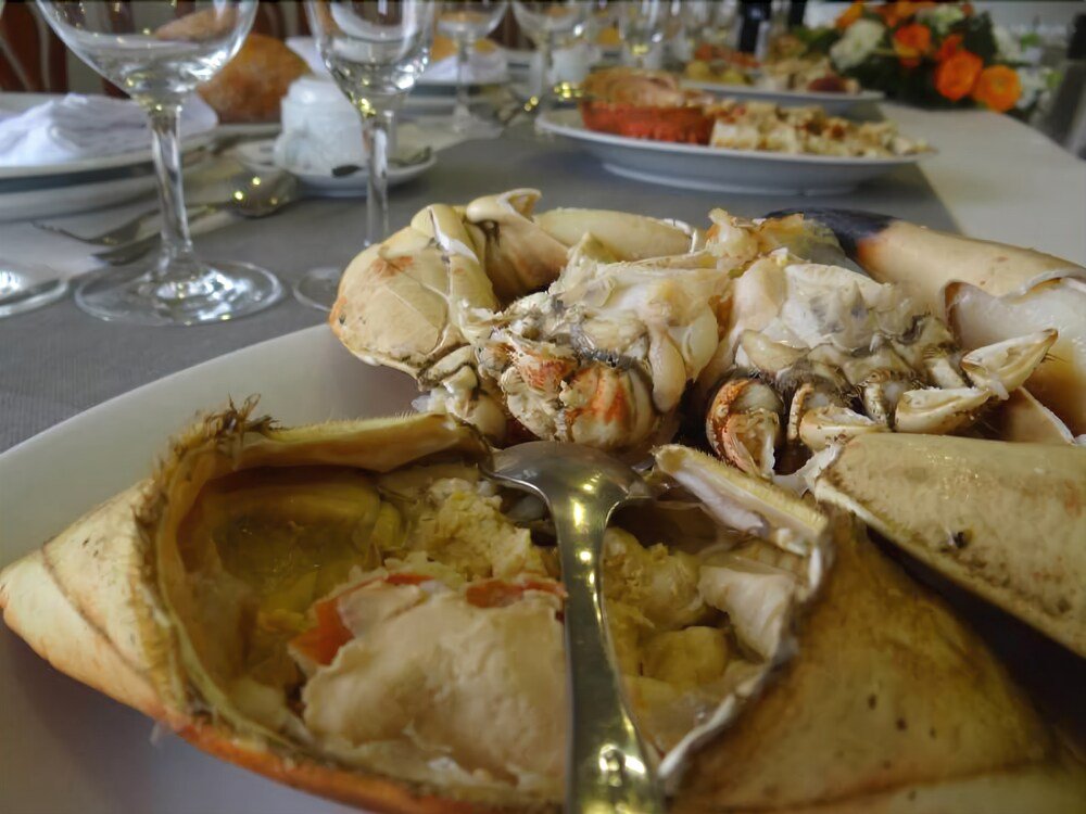 Фото Hotel Ardora