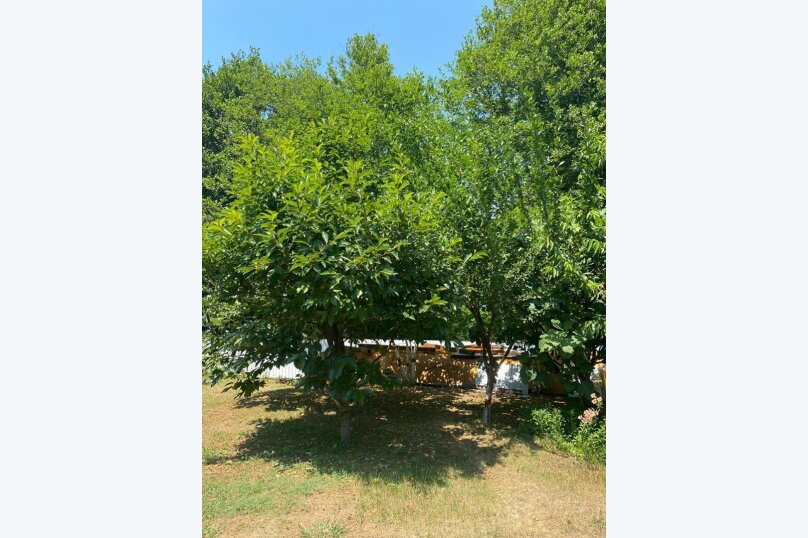 Фото Южаночка