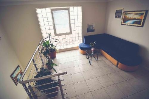 Фото Hotel Phoenix