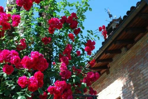 Внешний вид отеля Hotel & Hostel Montarina в Лугано, фото 5