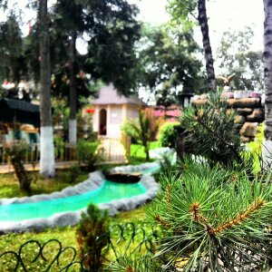 Фото Авшар Клаб