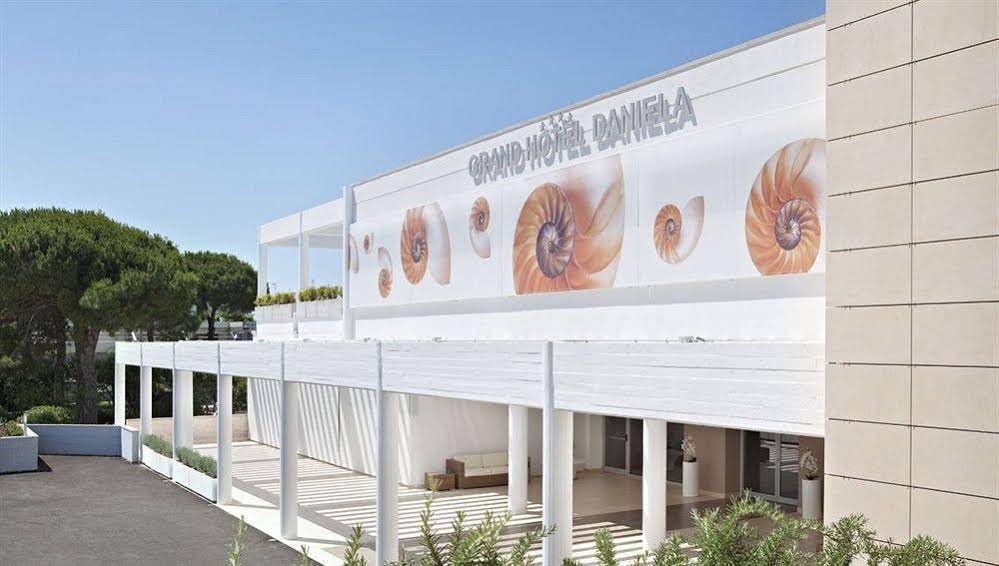 Фото Voi Daniela Essentia