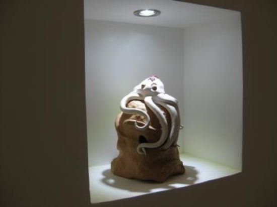 Фото Hotel Cimarosa