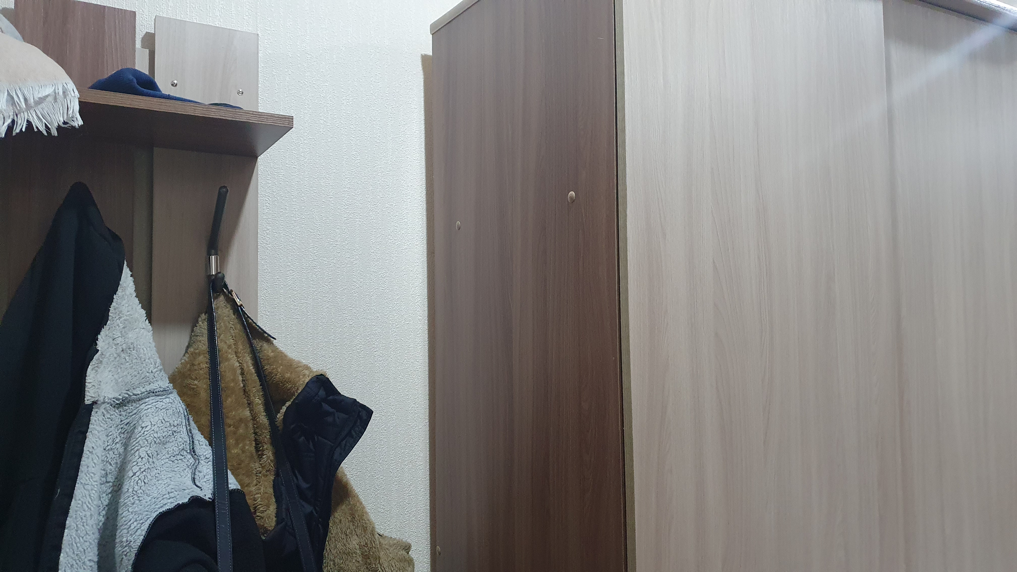 Фото Звезда