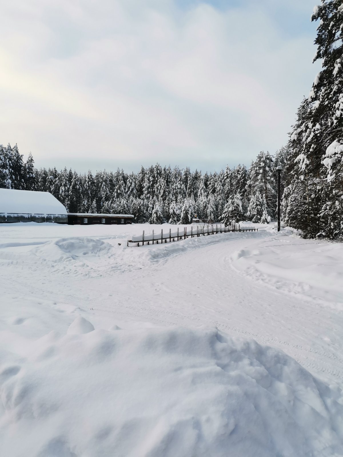 Фото Ягодная деревушка