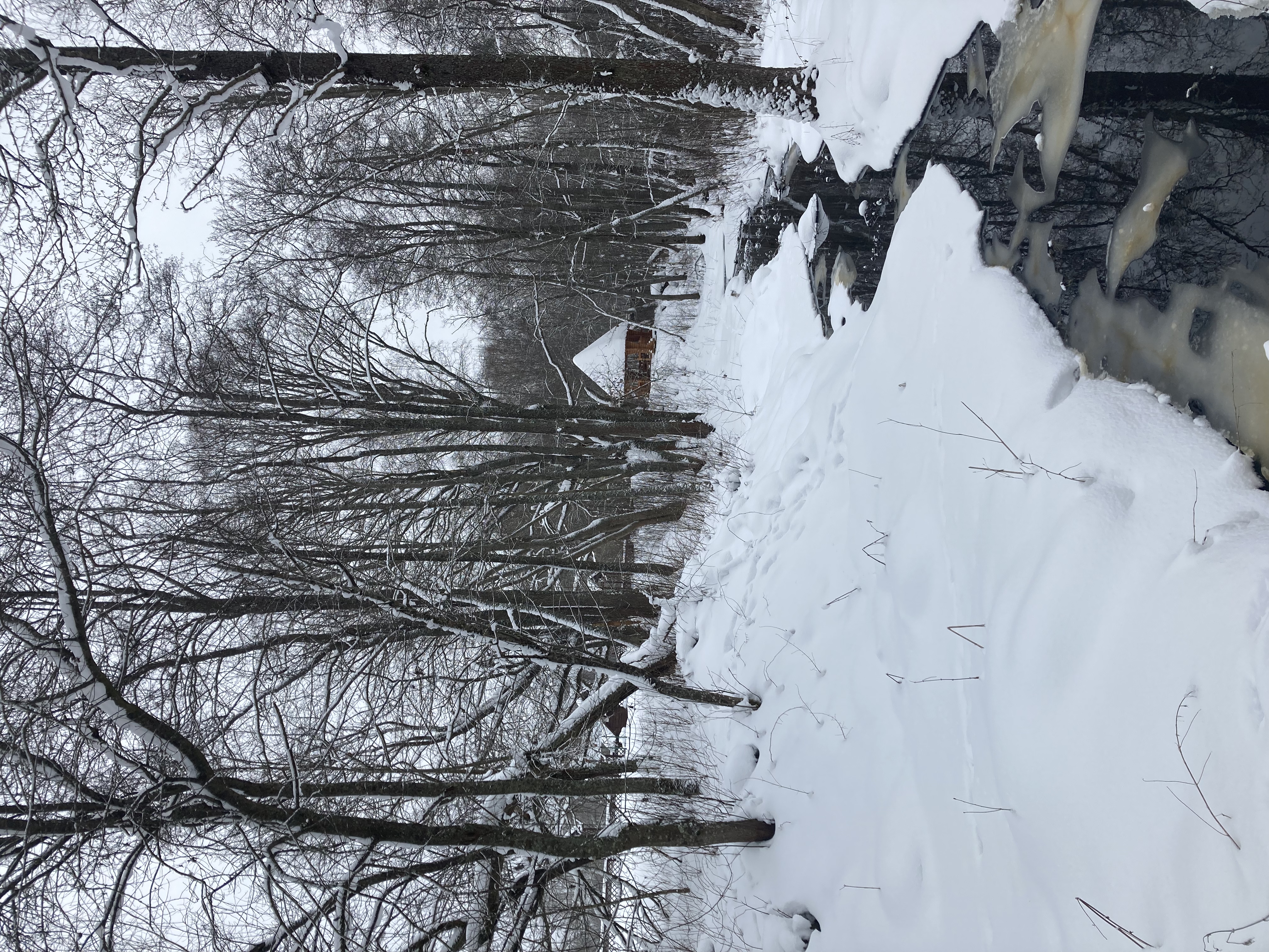 Фото Экокомплекс СДЛ