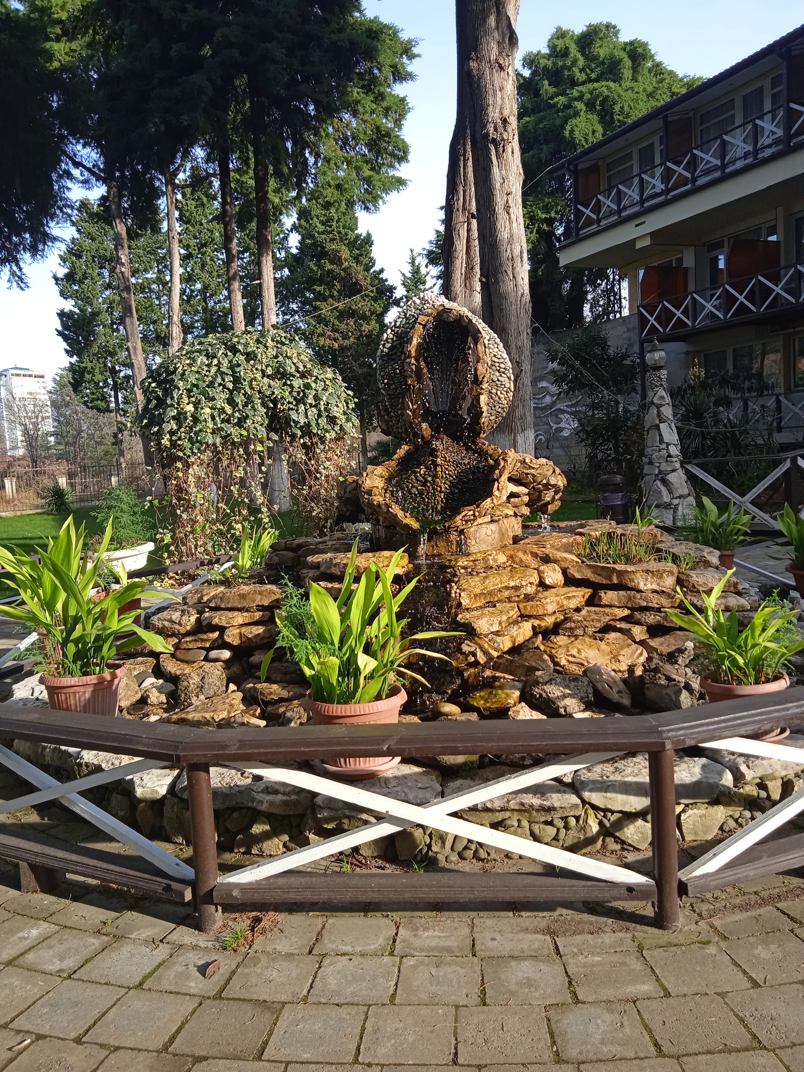 Фото Пицунда