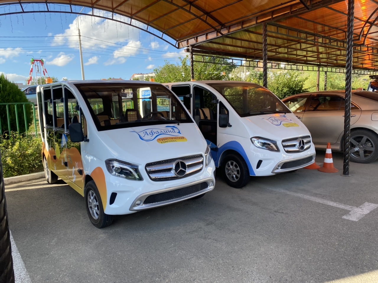 Фото Афалина