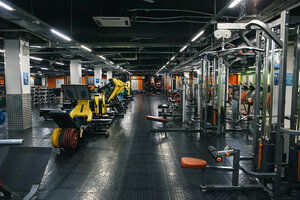 Club de fitness Alex Fitness, , foto