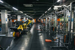 Alex Fitness (Novaya ulitsa, 4), fitness club