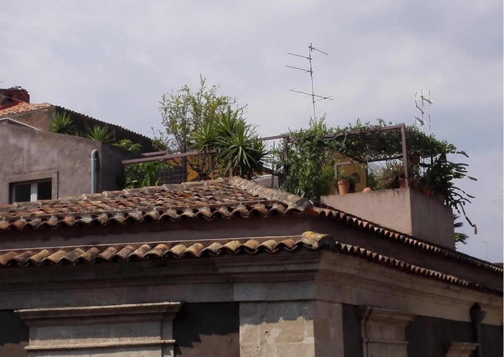 Фото Tre Vie Apartment