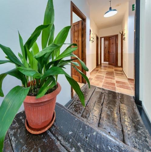 Фото Hotel Pozo Rey