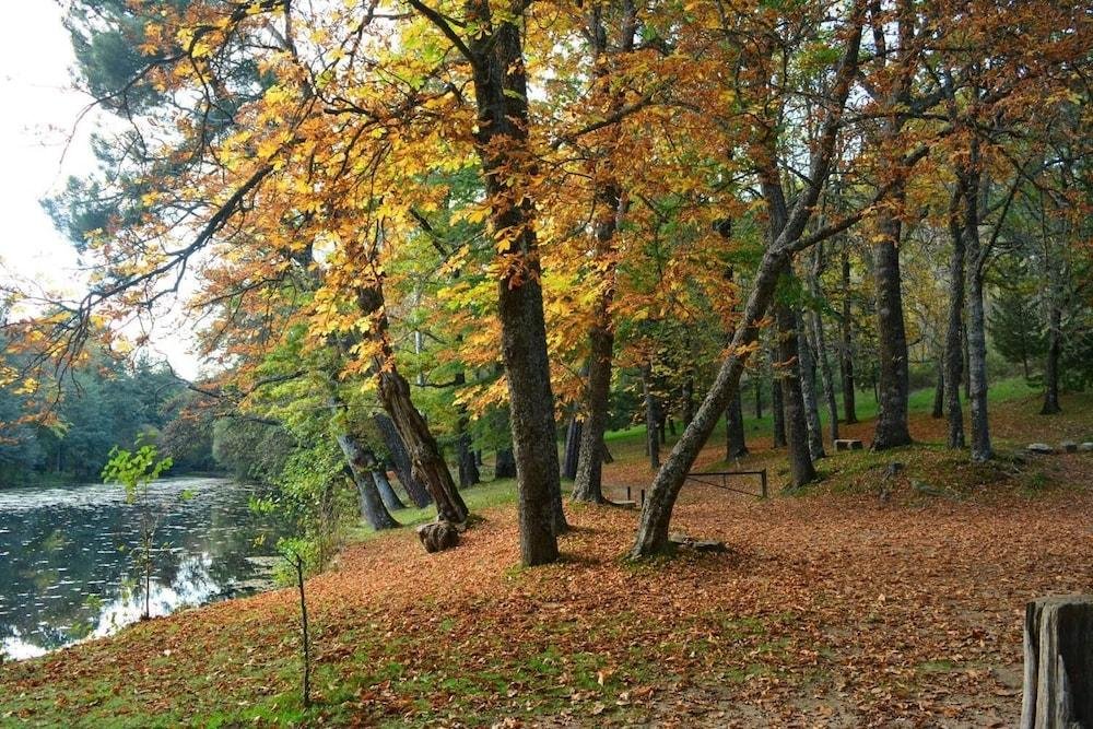 Фото Sunday Apartamento