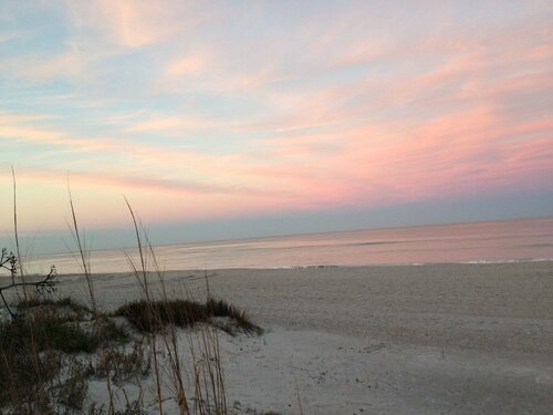Внешний вид отеля Ocean Front Paradise Resort в Бреварде, фото 4