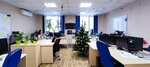 Ekonom Expert (Elkina Street, 3), it company
