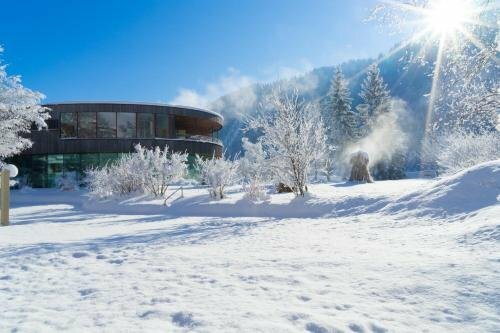 Гостиница Gesundhotel Bad Reuthe