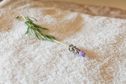 Фото Oue Werf Country House