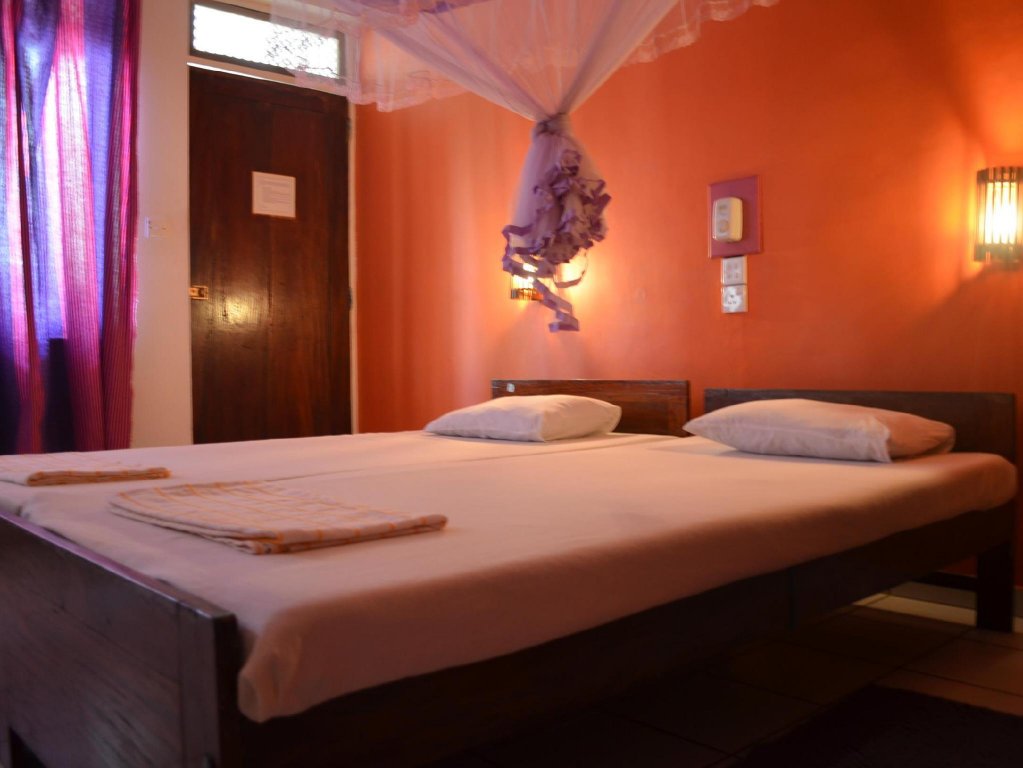 Фото Hotel Paradiso