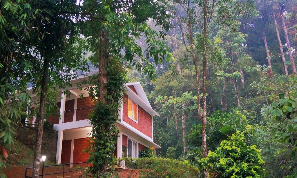 Фото Falling Waters