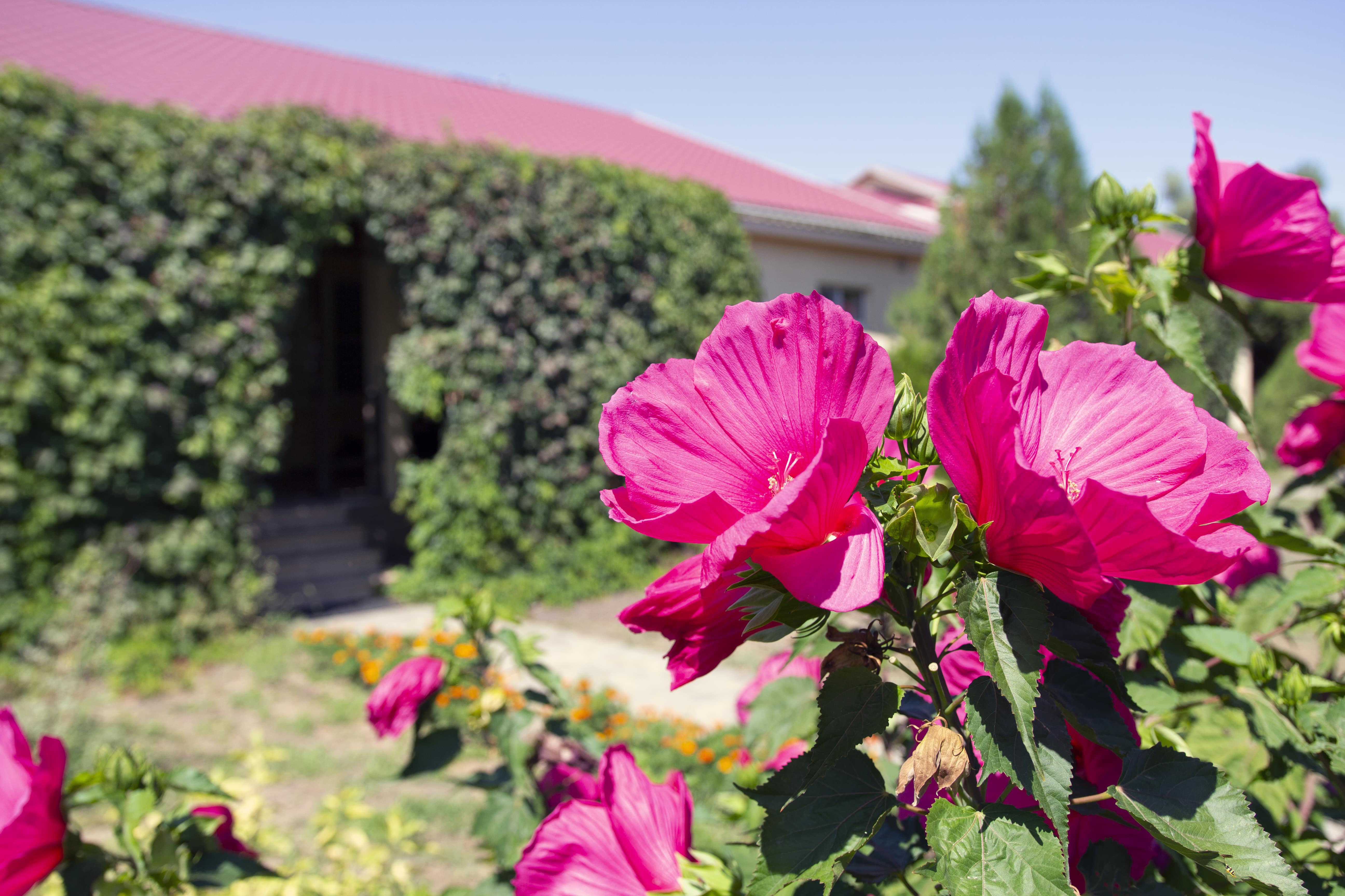 Фото Углянское