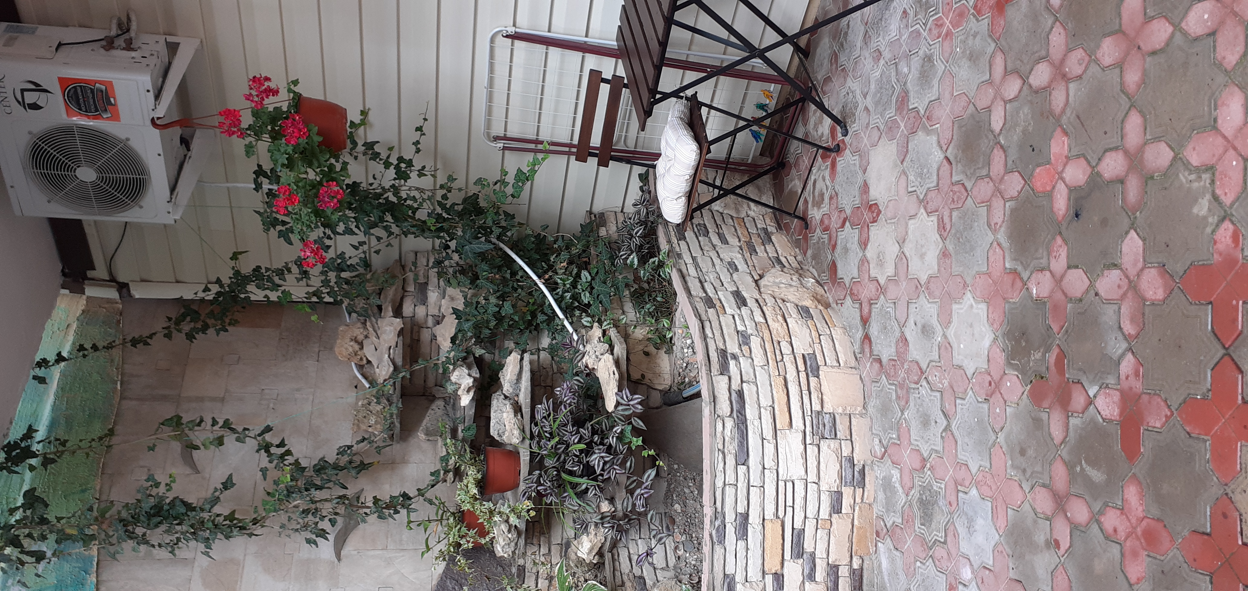 Фото Березка