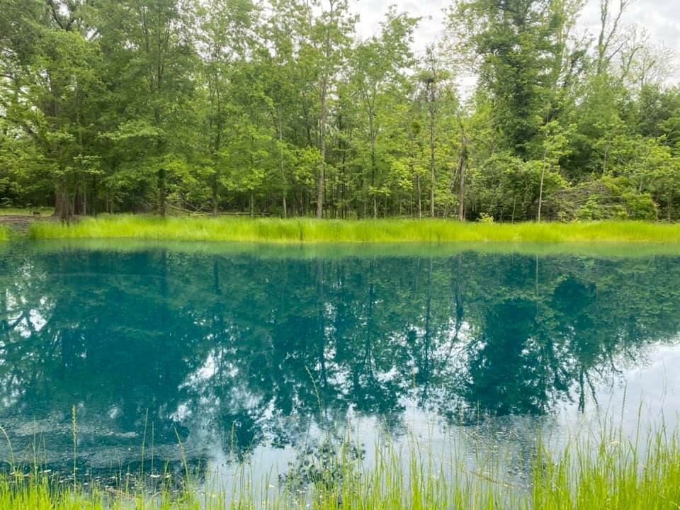 Entertainment center Maison Stephanie, State of Louisiana, photo