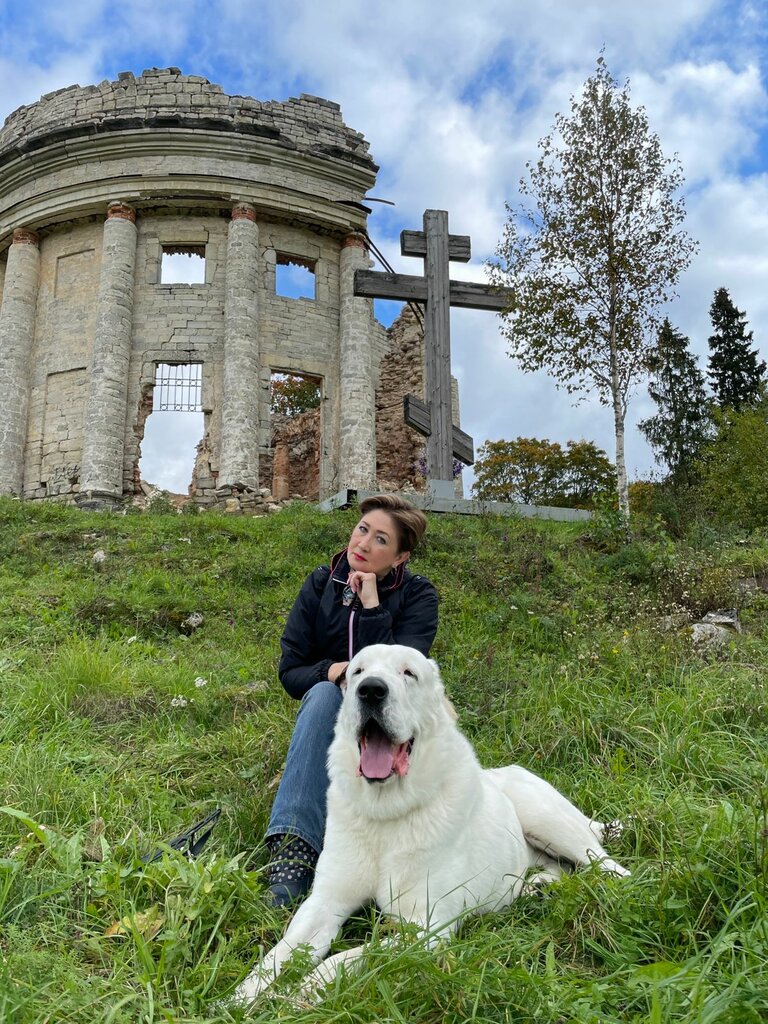 كنيسة أرثوذكسية Ruins of the Church of the Holy Trinity ، سانت بطرسبرغ ومقاطعة لينينغراد، صورة