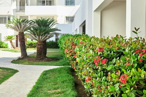 Гостиница Las Terrazas Condo - Los Corales Village в Доминиканской Республике