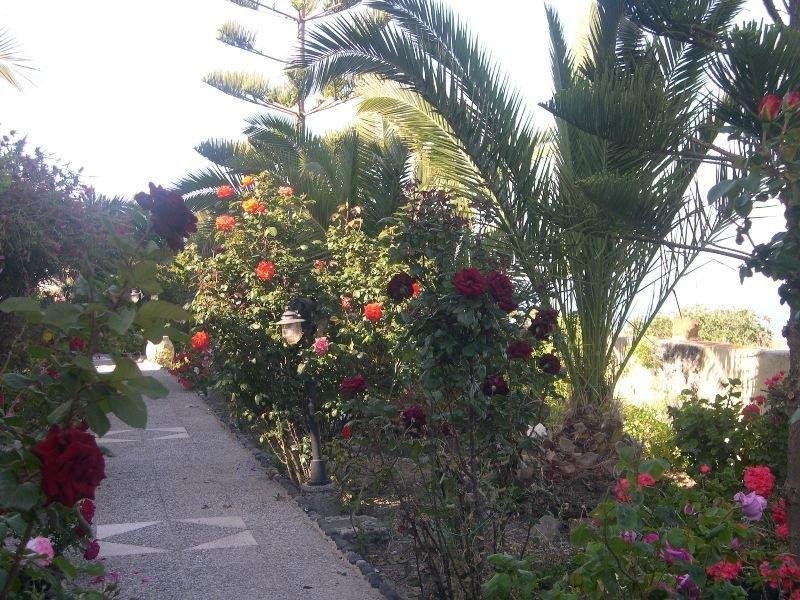 Фото Aelia by Eltheon