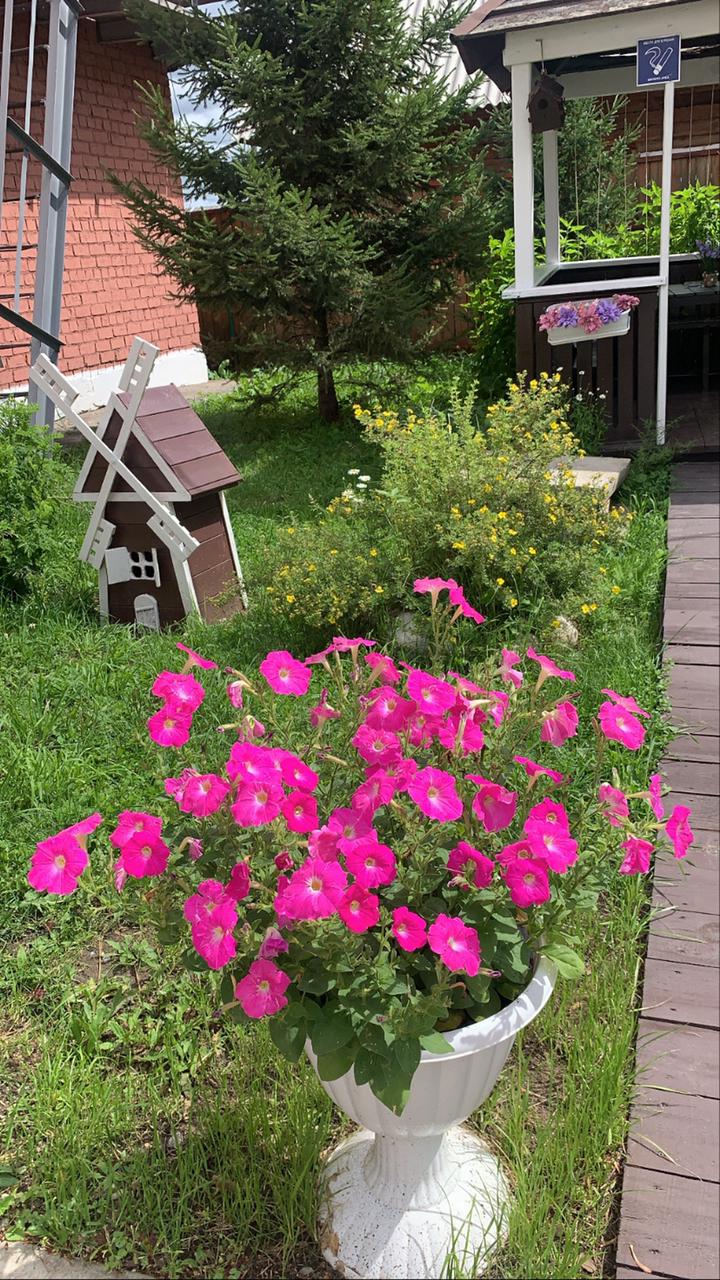 Фото Подснежник