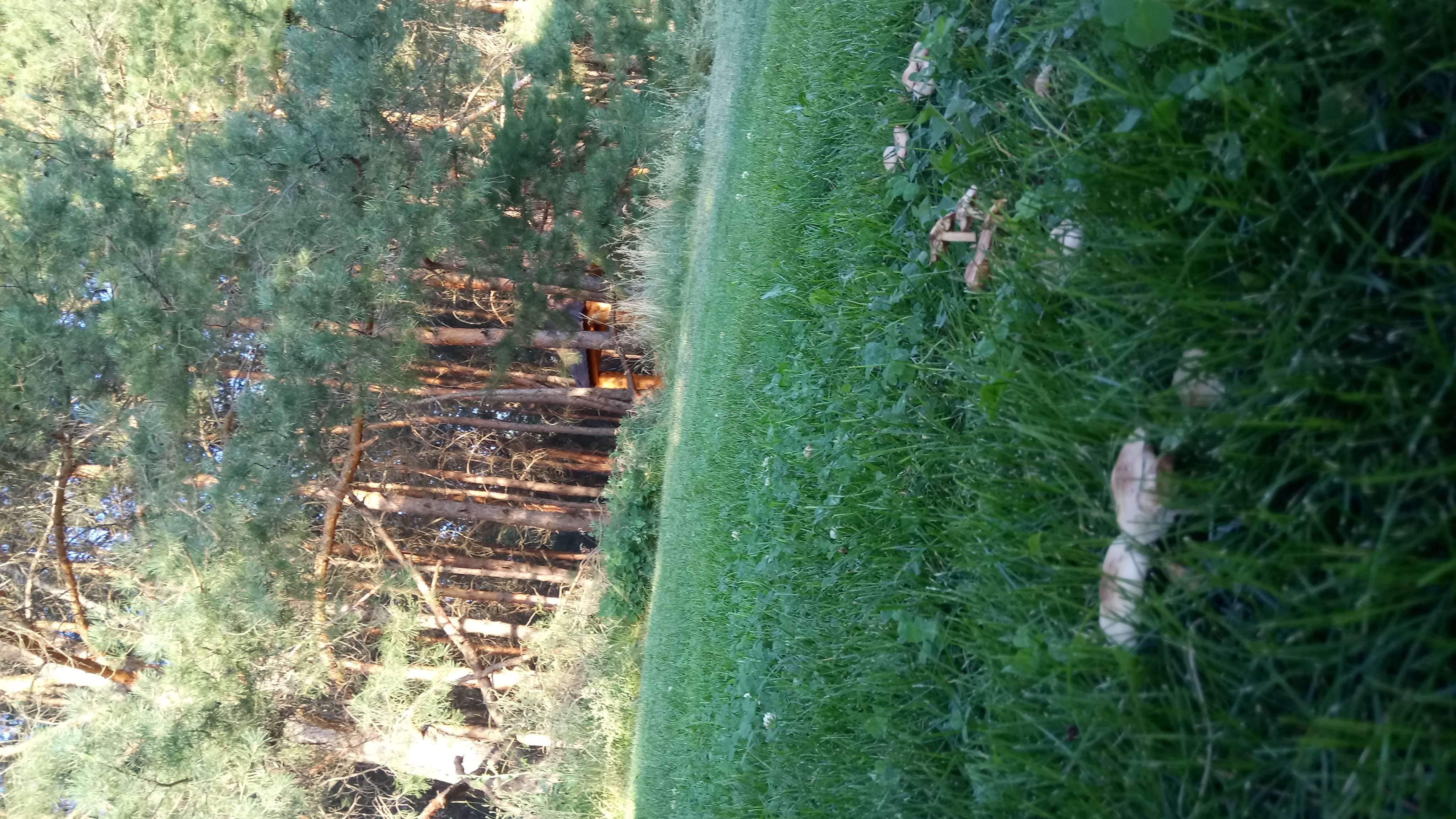 Фото База в Приречном