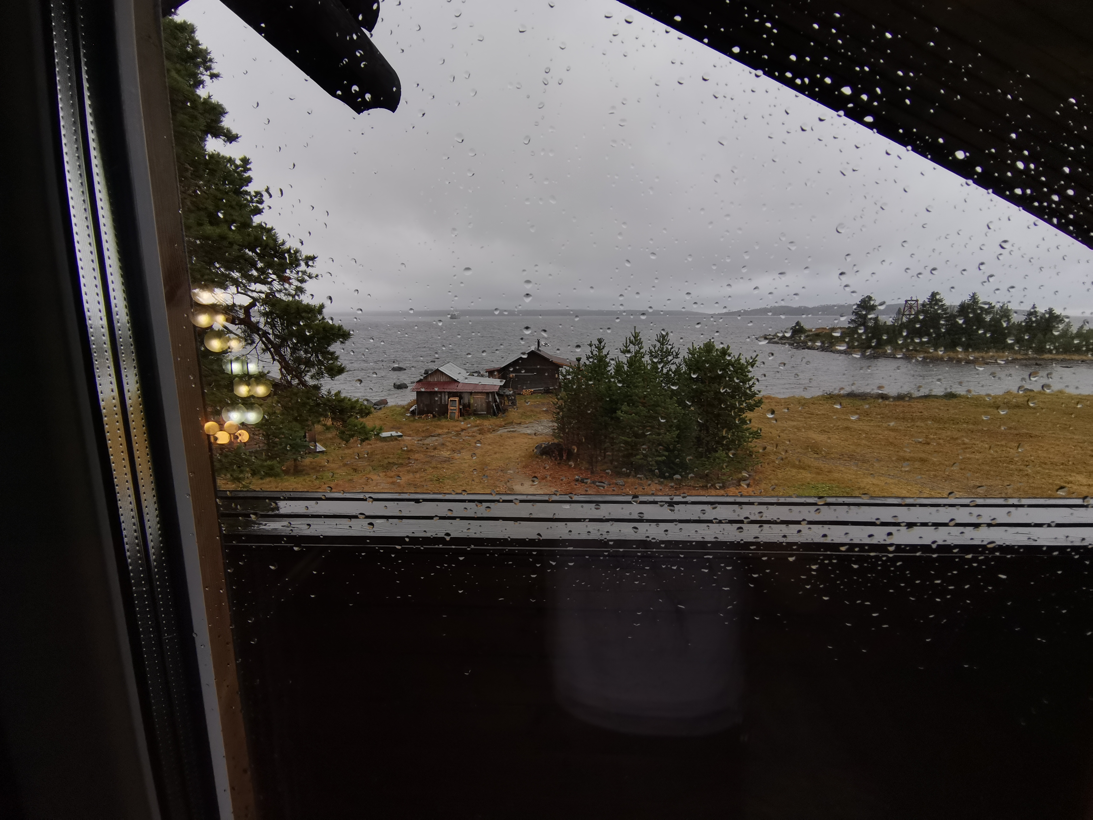 Фото Cedar Grass Белое море