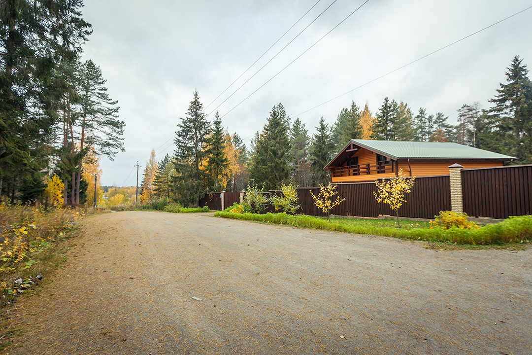 Фото Green Forest