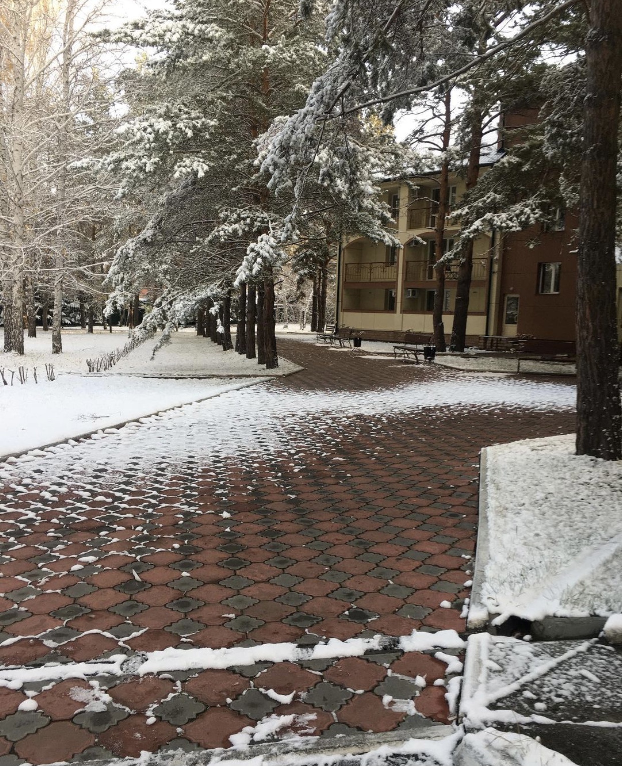 Фото Борвиха